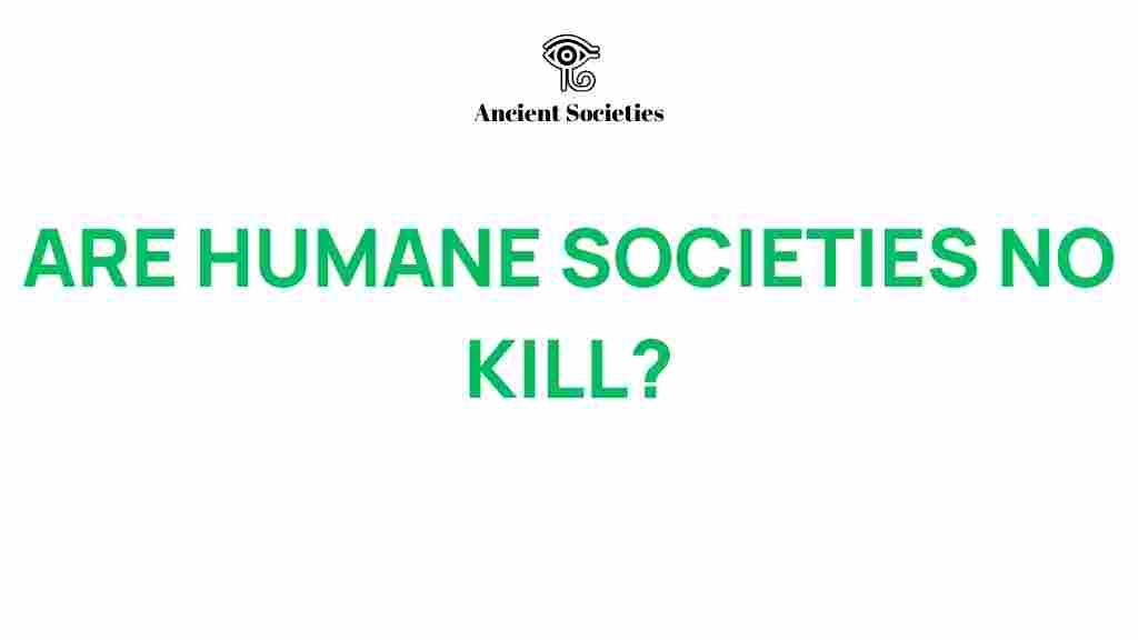 no-kill-societies-humane-welfare