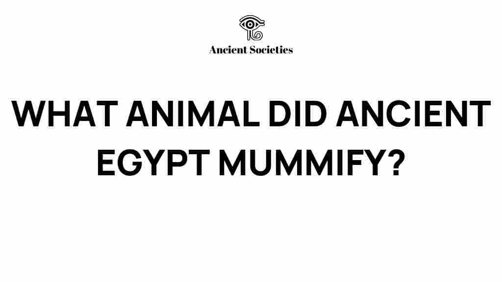 ancient-egypt-mummify-animal