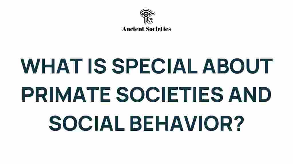 primate-societies-social-behavior