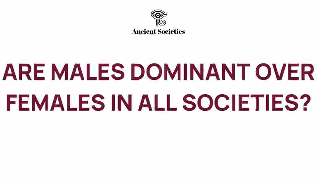 gender-dynamics-male-dominance