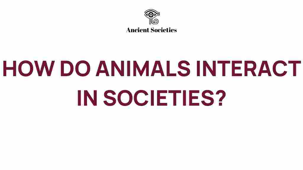 animal-behavior-social-dynamics