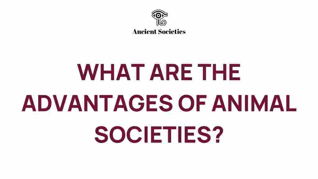 animal-societies-advantages