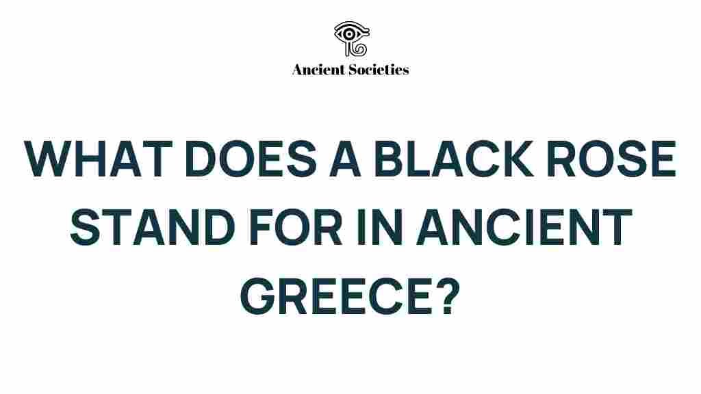 black-rose-ancient-greece