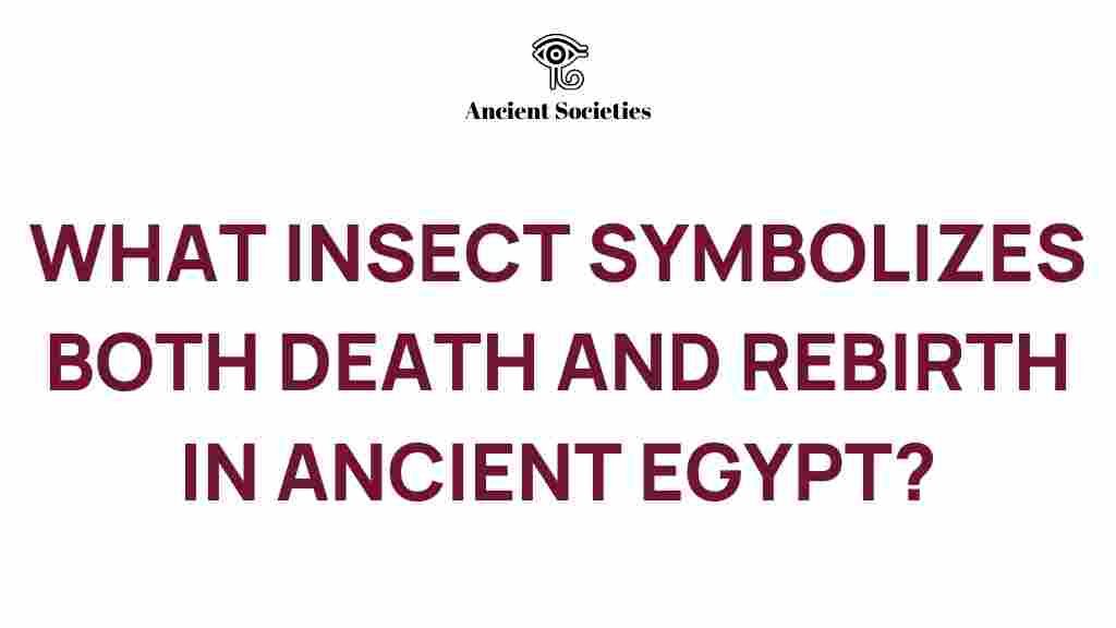 scarab-symbolism-death-rebirth-ancient-egypt