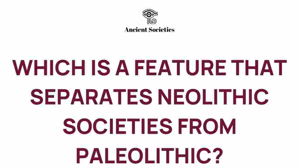 neolithic-paleolithic-distinction