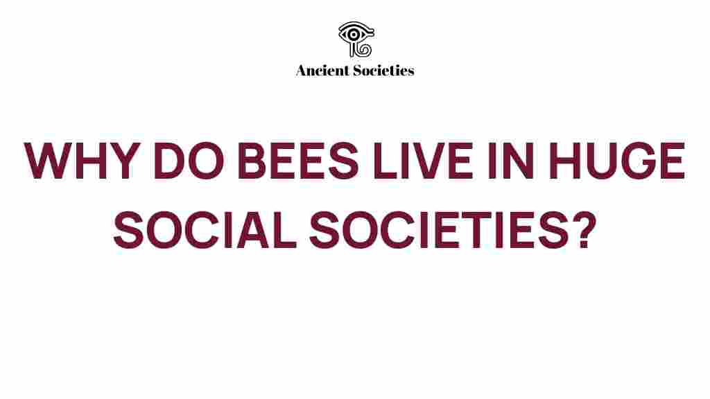bees-social-structure