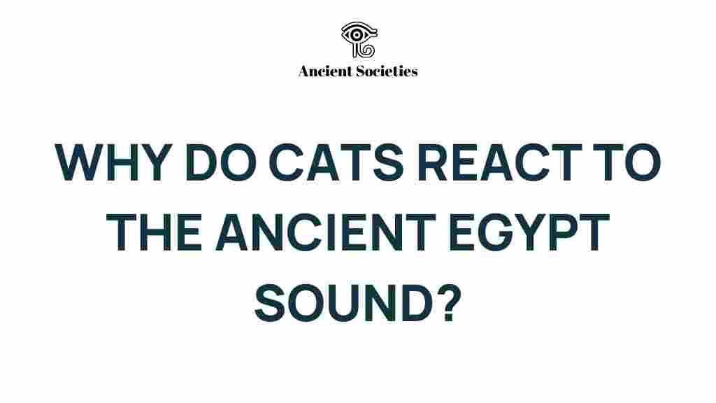 cats-react-ancient-egypt-sound